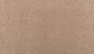 Mohawk Smartstrand Clever Mind II Cattail 3L69-838