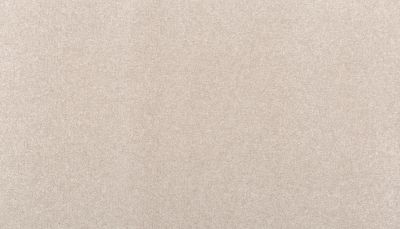 Mohawk Smartstrand Clever Mind II Dakota 3L69-929