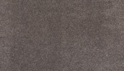 Mohawk Smartstrand Clever Mind II Mistique 3L69-975