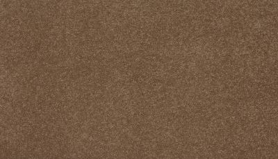 Mohawk Everstrand Delightful Saga I Silken Sable 3L96-857