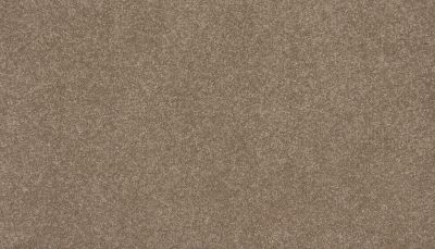 Mohawk Everstrand Delightful Saga I Camel Stone 3L96-864