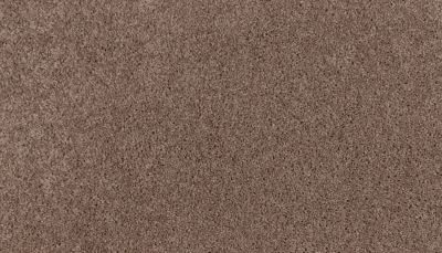 Mohawk Smartstrand Natural Purpose Tiberius 3M01-859