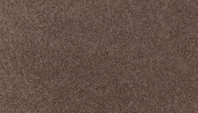 Mohawk Smartstrand Summer Evening Deep Fudge 3M13-888