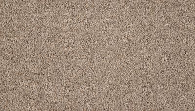 Mohawk Smartstrand Silk Luxuriant Surface Scroll 3M18-730