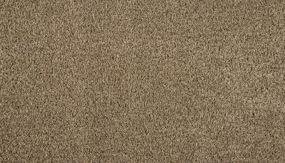 Mohawk Smartstrand Silk Noble Space Halo 3M20-760