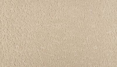 Mohawk Smartstrand Mineral Effects Aspen 3M27-732