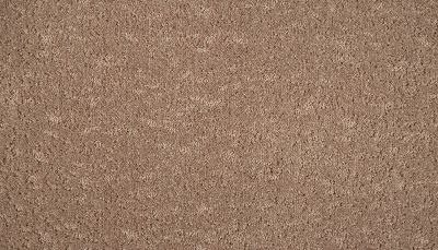 Mohawk Smartstrand Mineral Effects Clay 3M27-765