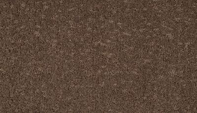 Mohawk Smartstrand Mineral Effects Sequoia 3M27-874