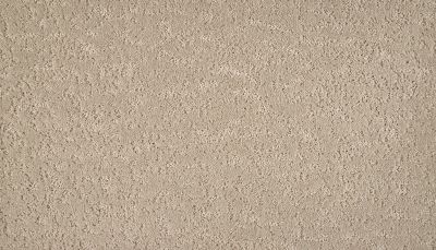 Mohawk Smartstrand Mineral Earth Zinc 3M31-816