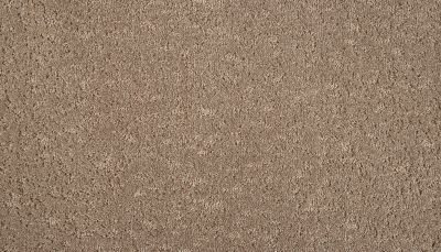 Mohawk Smartstrand Mineral Earth Copper 3M31-857