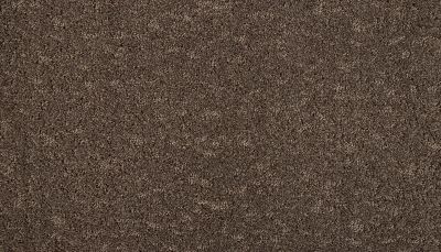 Mohawk Smartstrand Mineral Earth Walnut 3M31-888