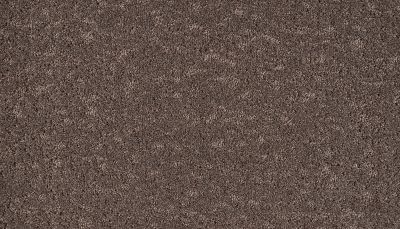 Mohawk Smartstrand Mineral Earth Mahogany 3M31-987