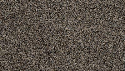 Mohawk Petpremier Diffurent Choice II Dark Hour 3M42-598