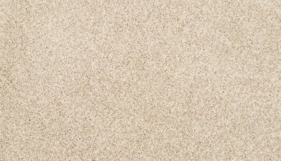 Mohawk Petpremier Diffurent Choice II Frosted Almond 3M42-702