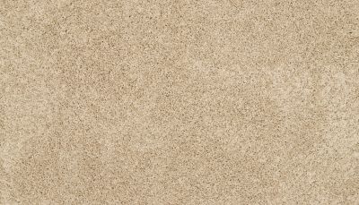 Mohawk Petpremier Diffurent Choice II Sandy Beach 3M42-737