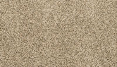 Mohawk Petpremier Diffurent Choice III Bisque 3M43-809