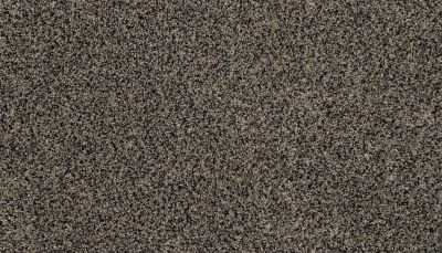Mohawk Petpremier Furocious I Dark Hour 3M52-598