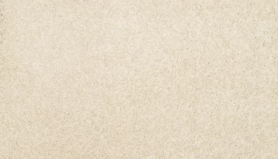 Mohawk Petpremier Furocious I Alabaster 3M52-701
