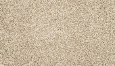 Mohawk Petpremier Furocious I Coconut 3M52-707