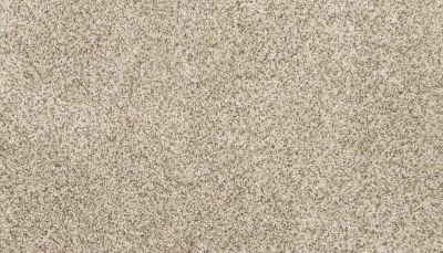 Mohawk Petpremier Furocious I Fawn 3M52-739