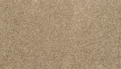 Mohawk Petpremier Furocious I Harmony 3M52-777