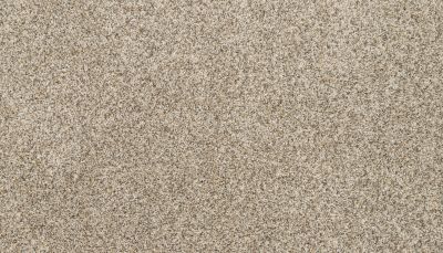 Mohawk Petpremier Furocious I Soapstone 3M52-837