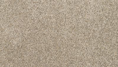 Mohawk Petpremier Furocious II Soapstone 3M53-837