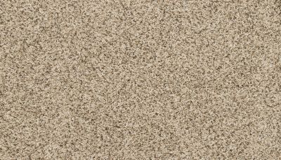 Mohawk Refined Retrieversii Frosty Spice 3M91-769