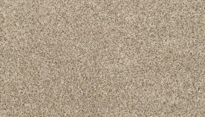 Mohawk Refined Retrieversii Soapstone 3M91-837