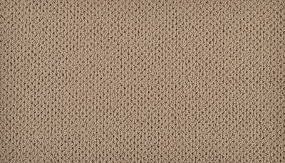 Karastan Smartstrand Promenade Nomad 3M93-9843