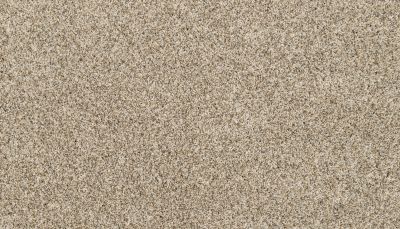 Mohawk Petpremier Canine Luxe Soapstone 3M95-837