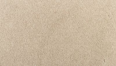 Karastan Smartstrand Delightful Grail Natural 3N11-9735