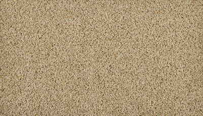 Mohawk Everstrand Sleek Tones New Wheat 3N43-723