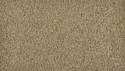 Mohawk Smartstrand Exhilarating Boulder Beige 3N44-767