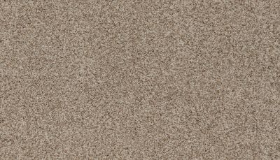 Mohawk Smartstrand Apricity Winter Beige 3N49-748
