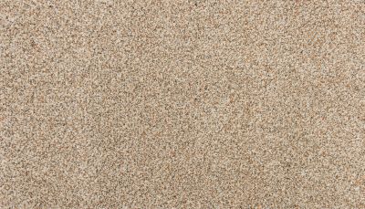 Karastan Smartstrand Silk Enchanted Softened Ash 3N69-9726