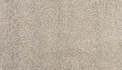 Karastan Smartstrand Silk Enchanted Pristine 3N69-9911