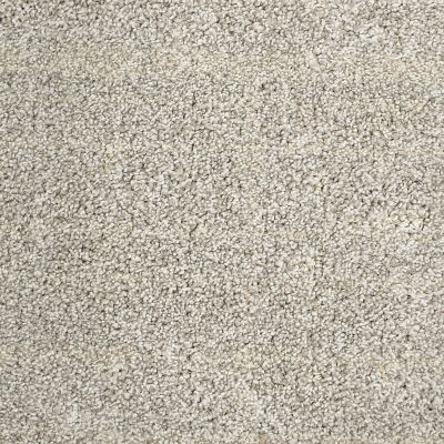 Mohawk Petpremier Furry Fun Misty Granite 3N92-930