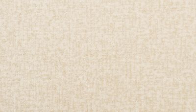 Karastan Smartstrand Framework Tango 3N98-9711