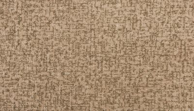 Karastan Smartstrand Framework Rhapsody 3N98-9843