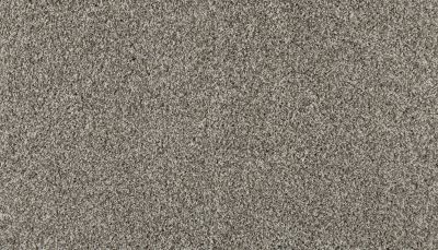 Mohawk Everstrand Elite Olympus I Snow Path 3O30-937