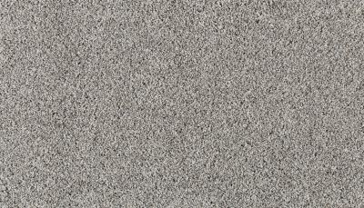 Mohawk Everstrand Elite Olympus I Pewter Cloud 3O30-955