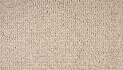 Mohawk Smartstrand Seamless View Tea Towel 3O36-720