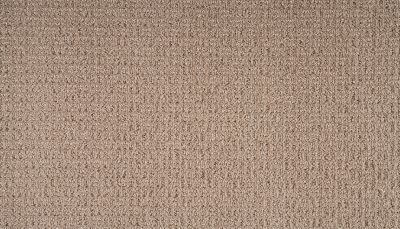 Mohawk Smartstrand Seamless View Roadside 3O36-732