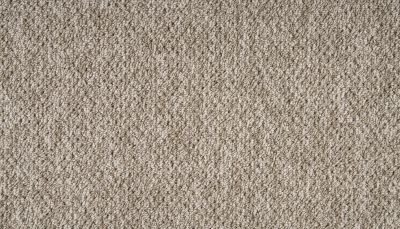 Mohawk Everstrand Cherry Way Brown Swirl 3O38-858