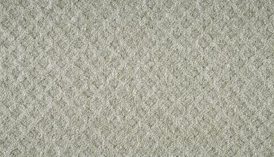 Mohawk Everstrand Walnut Weave Peridot Green 3O41-626