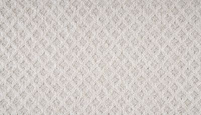 Mohawk Everstrand Walnut Weave Raw Cotton 3O41-727