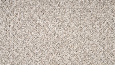 Mohawk Everstrand Walnut Weave Fossil Stone 3O41-839