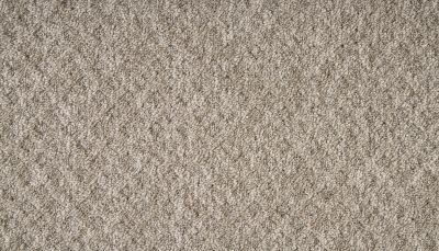 Mohawk Everstrand Walnut Weave Brown Swirl 3O41-858