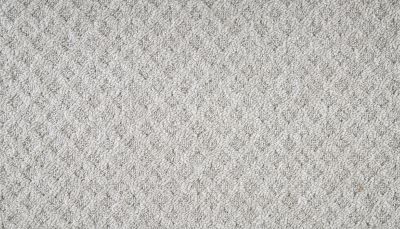 Mohawk Everstrand Walnut Weave Sleek Silver 3O41-920